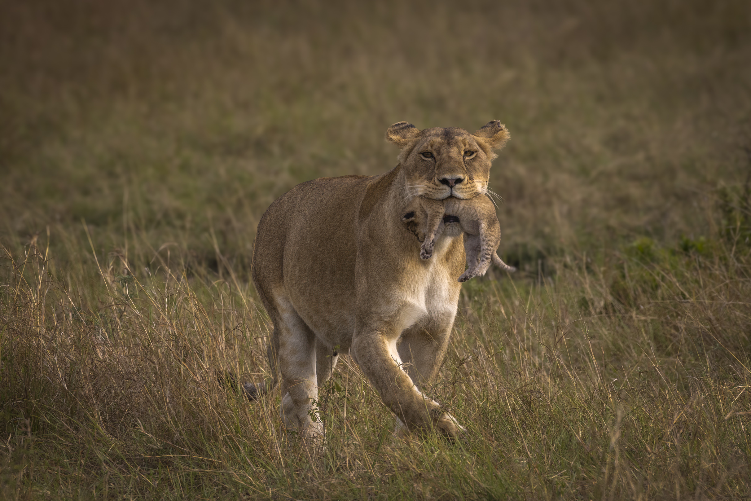 November 10, 2022-075906-Edit-Edit.jpg